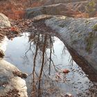 Forêt de Fontainebleau