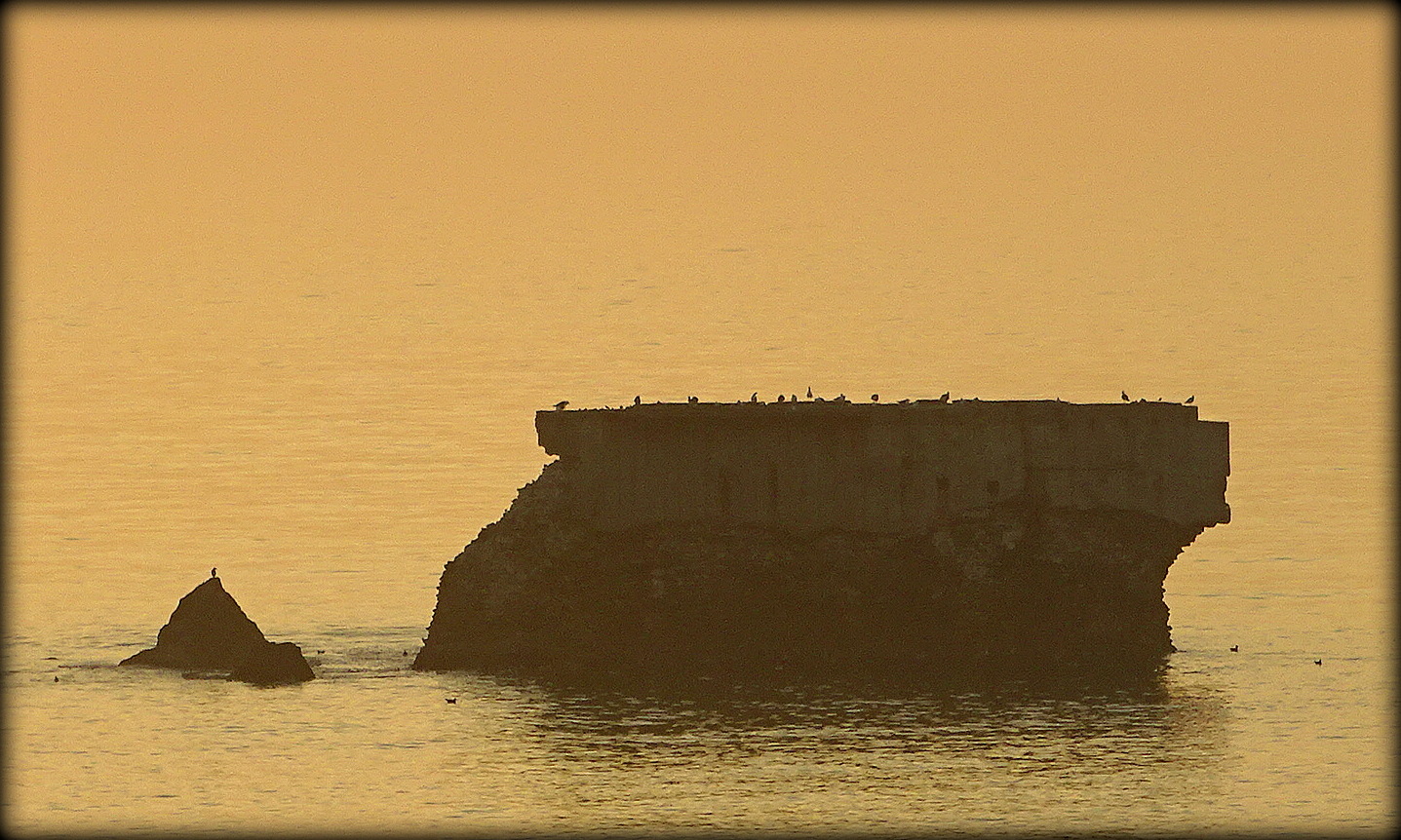 Fort de l'Heurt Exo N°18