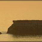 Fort de l'Heurt Exo N°18