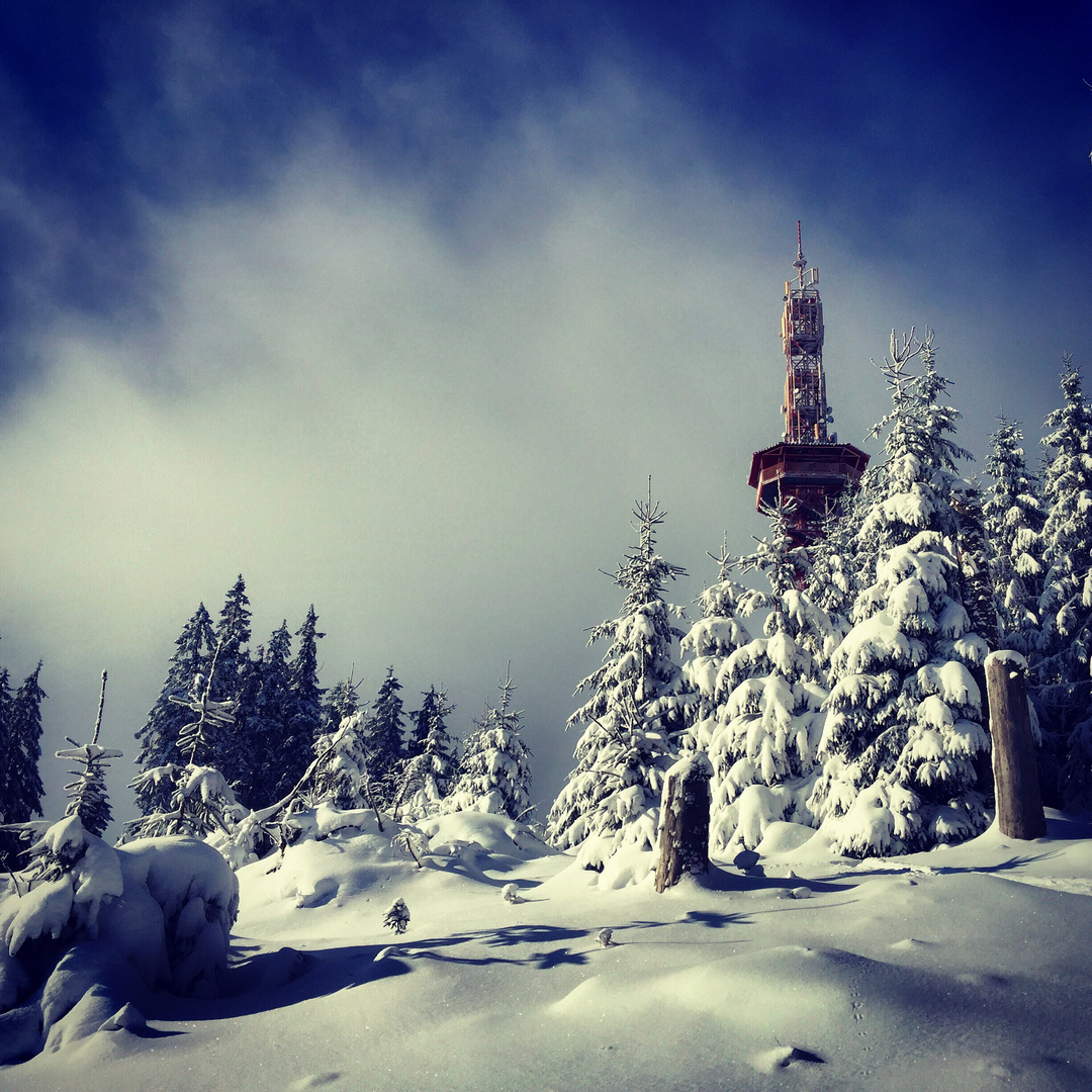 Fort Fünf Stüppelturm im tiefen Winter