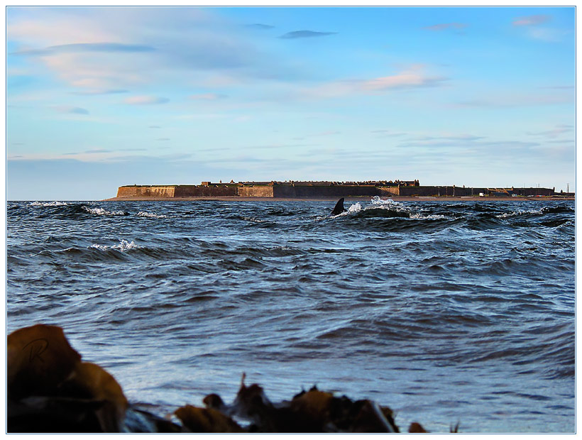 Fort George mit Delphin