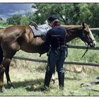 Fort Laramie - Independance Day