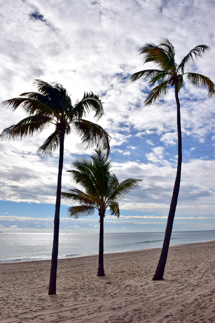 Fort Lauderdale