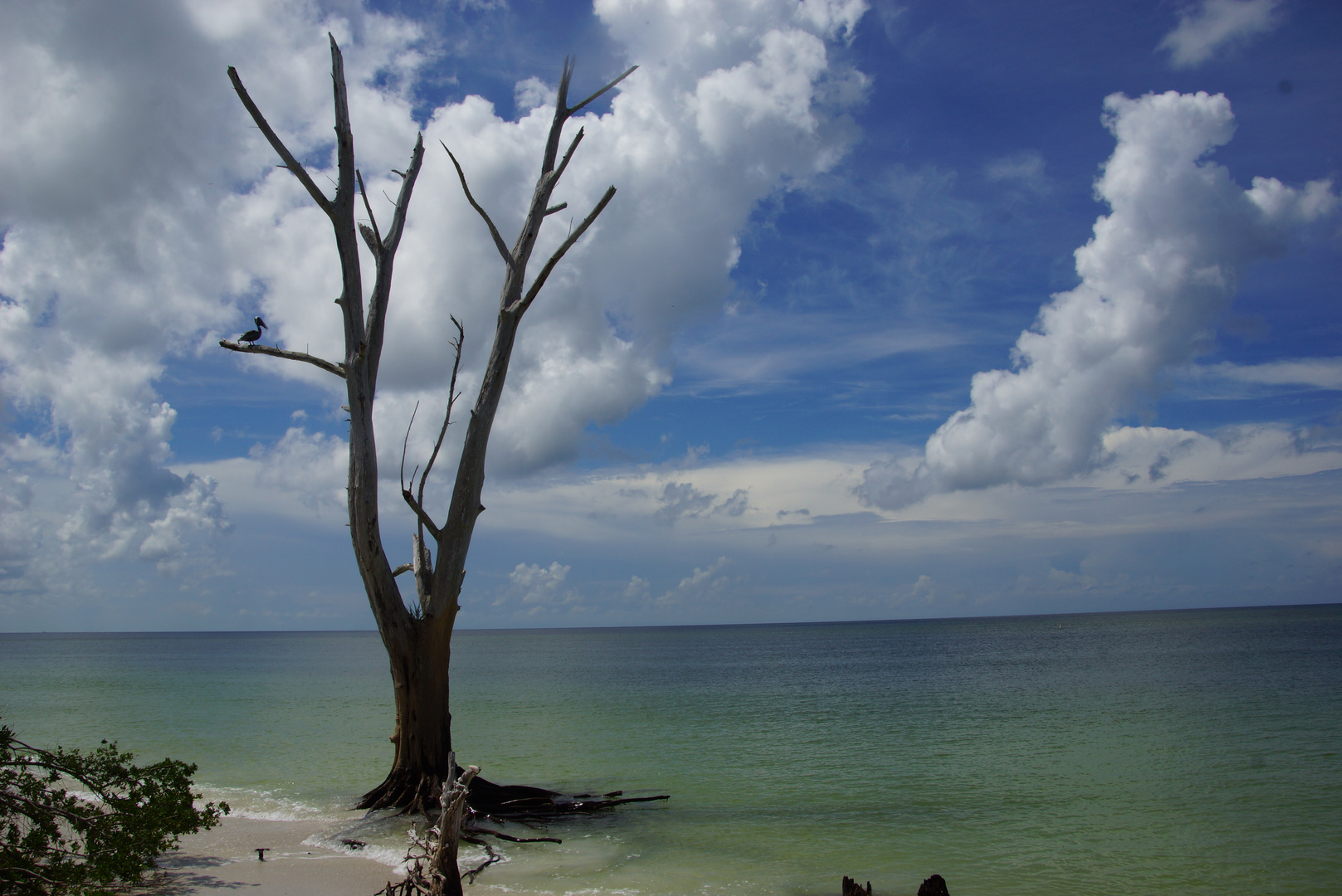 Fort Mayers Beach Florida