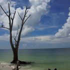 Fort Mayers Beach Florida