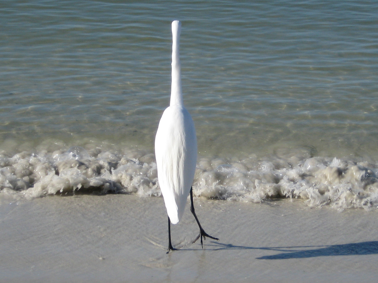 Fort Myers Beach.