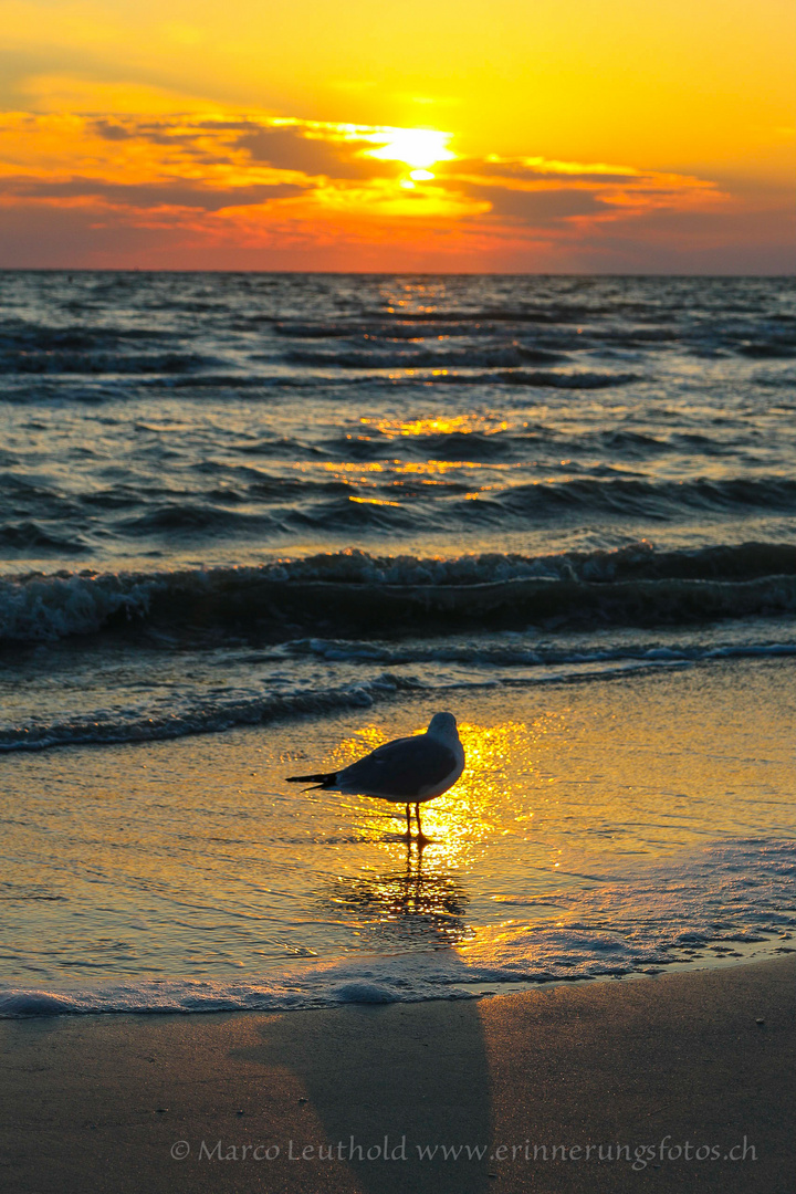 Fort Myers Beach