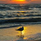 Fort Myers Beach