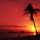 Fort Myers Beach, Florida/USA