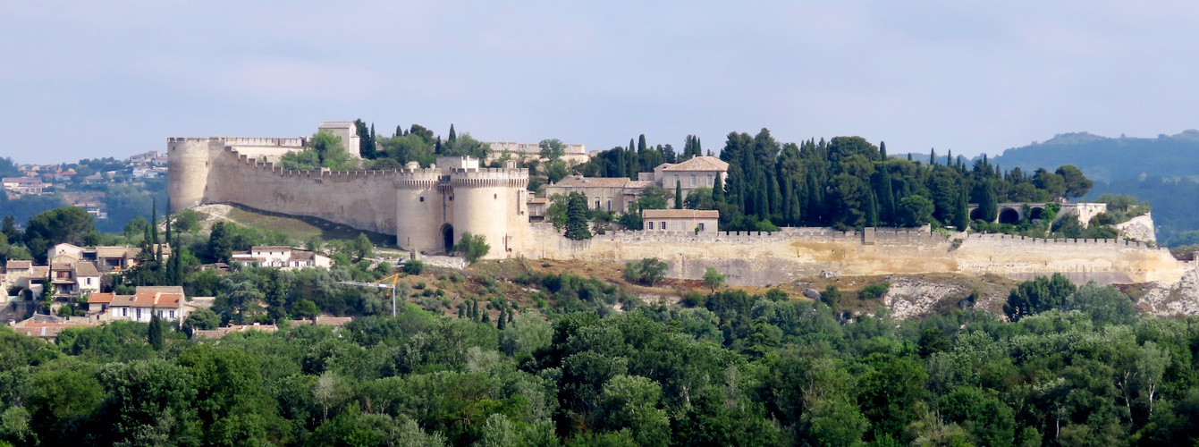 Fort Saint-Andre, Avignon