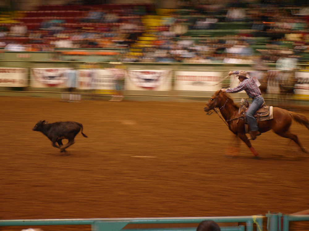 Fort Worth - Cowboy Jagd