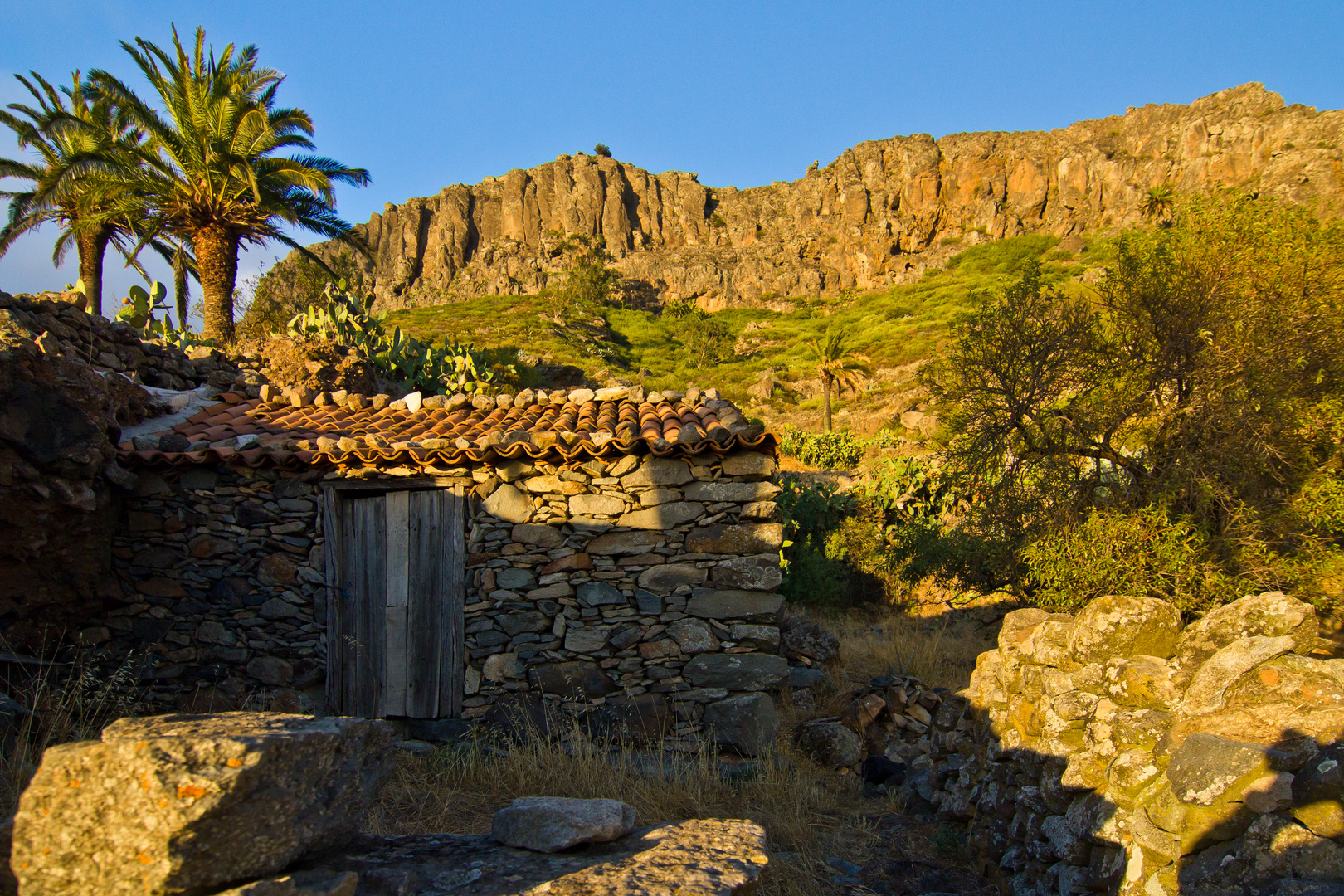 fortaleza de oro