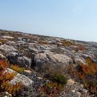 Fortaleza de Sagres II