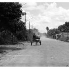 Fortbewegung in Cuiabá