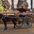 Fortbewegungsmittel in Bagan