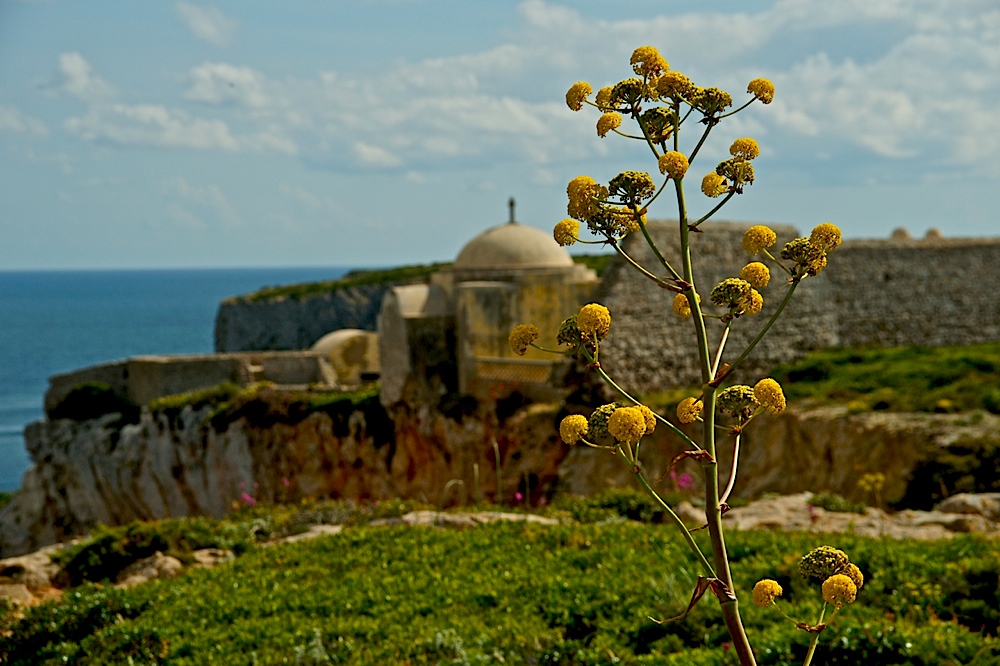 Forte do Beliche II