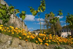 Forteresse fleurie