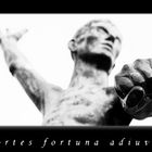 ~ fortes fortuna adiuvat ~