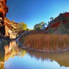 Fortesque Falls - Karijini NP