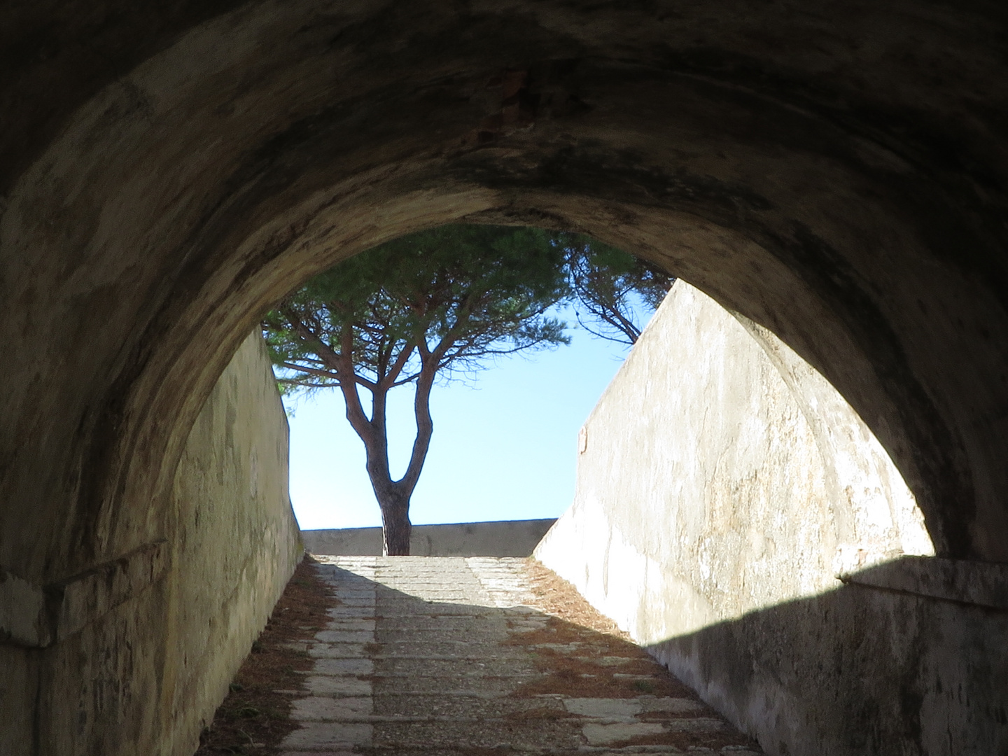 Fortezza dei Medici