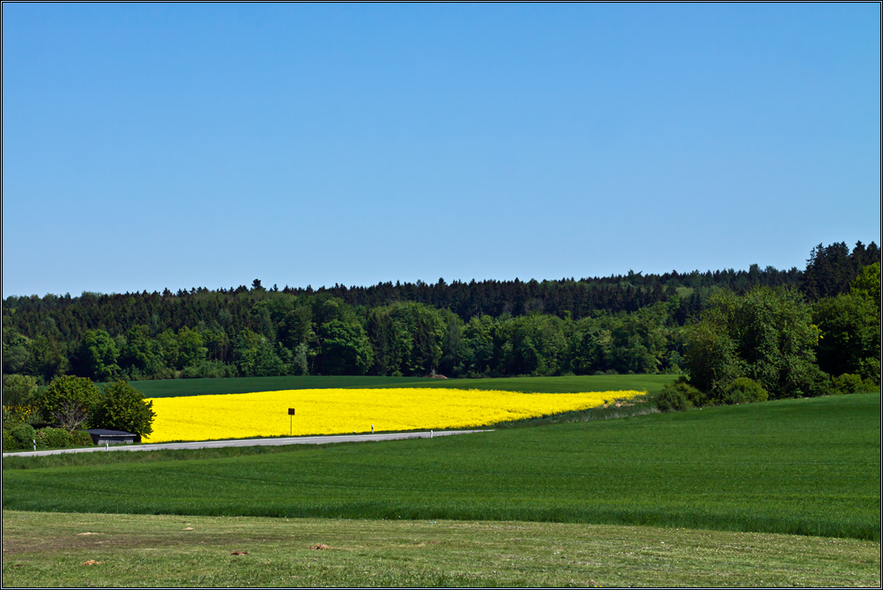 Fortgeschrittener Frühling