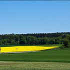 Fortgeschrittener Frühling