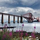 Forth bridges