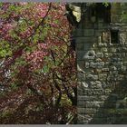 fortified house at corbridge Northumberland