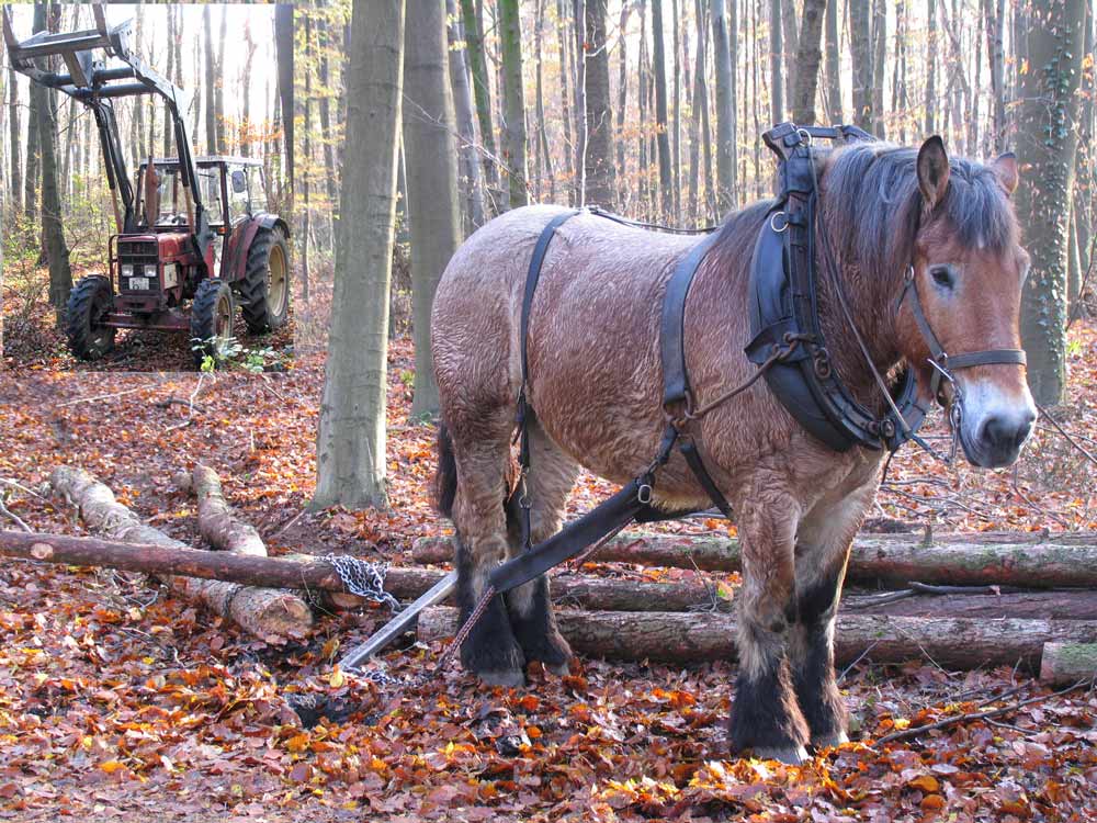 Fortschritt ... zum Umweltschutz in Krefeld