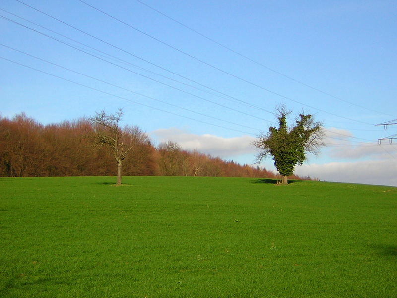 Fortsetzung- HÜLLENLOS/UMHÜLLT