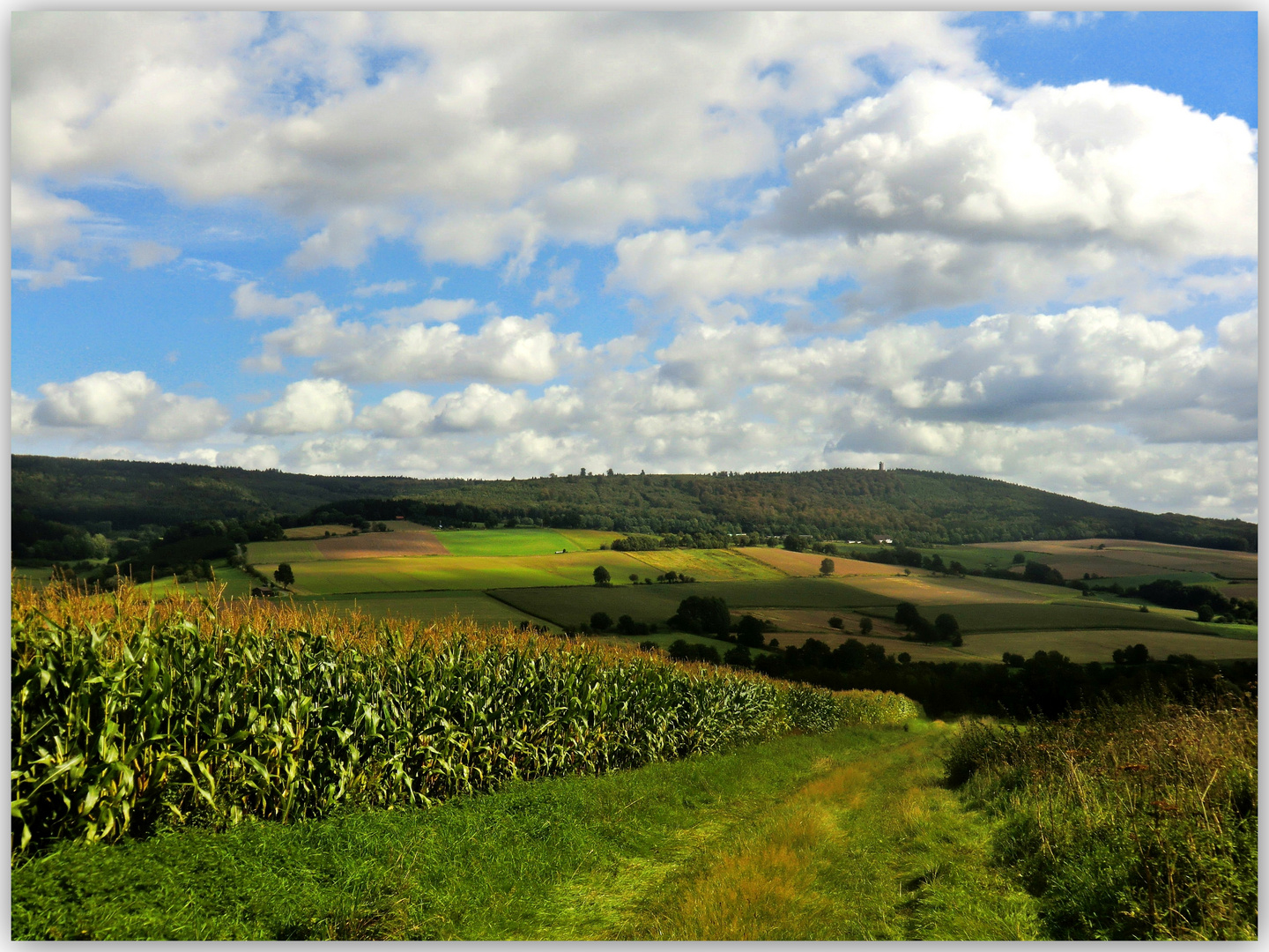 Fortsetzung vom "Weg in die Wolken"