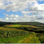 Fortsetzung vom "Weg in die Wolken"