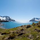 Fortuna Bay auf Südgeorgien