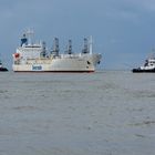 Fortuna Bay - Cuxhaven 12.08.2013