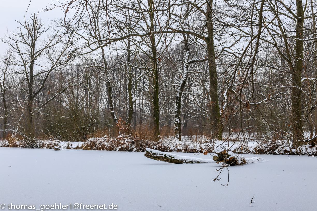 Fortunabad Leipzig im Winter