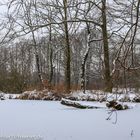 Fortunabad Leipzig im Winter