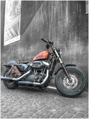 FORTY-EIGHT (II)