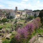 Forum Romain 