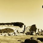 Forum Romanum (1)