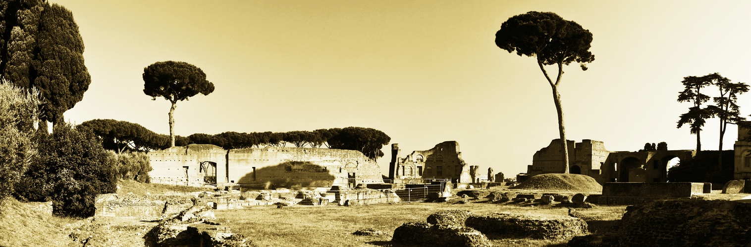 Forum Romanum (1)