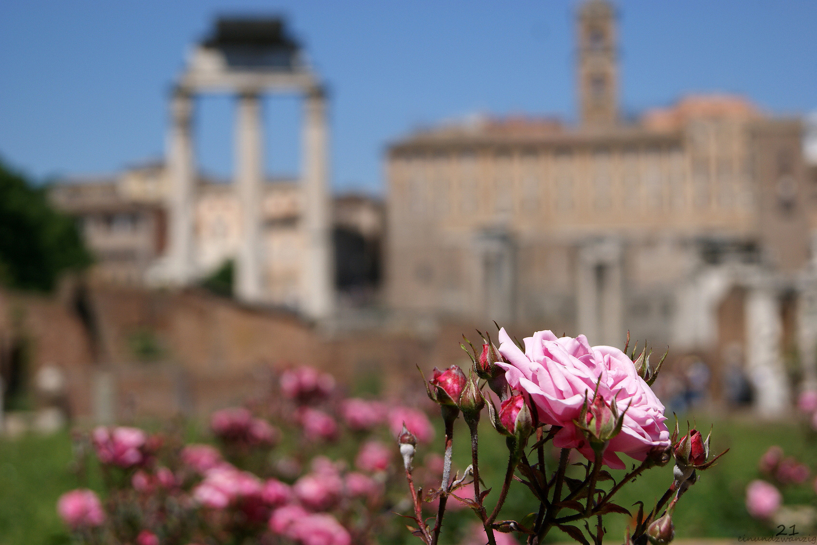 Forum Romanum