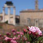 Forum Romanum