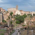 Forum Romanum 2