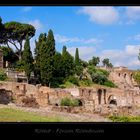 Forum Romanum (2)