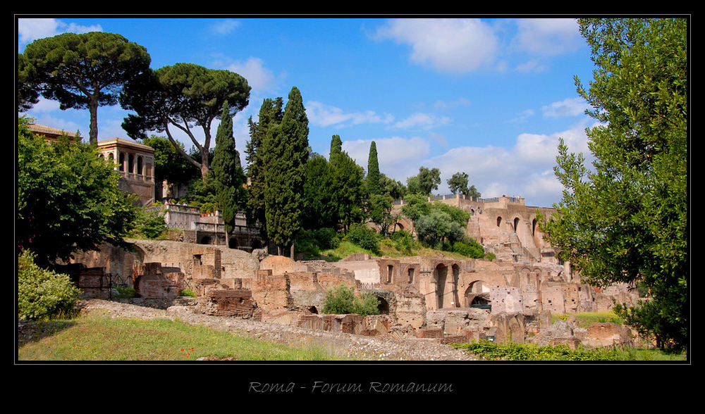 Forum Romanum (2)