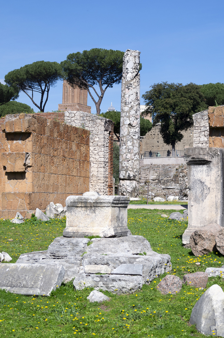 Forum Romanum 2 