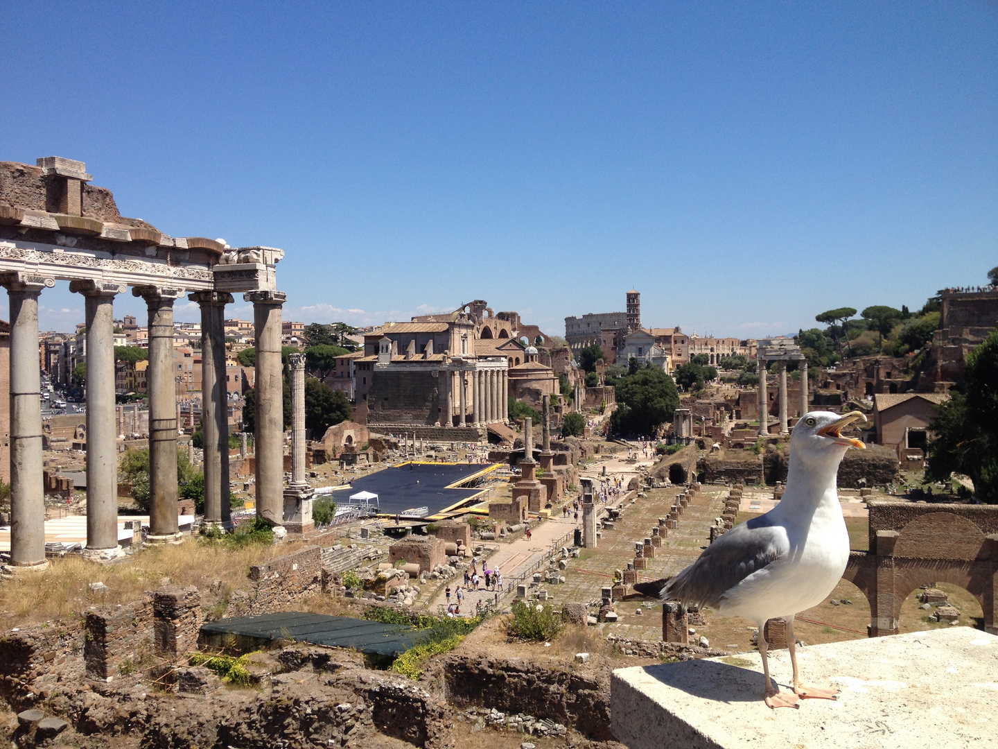 Forum Romanum