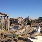 Forum Romanum