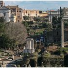 Forum Romanum 6