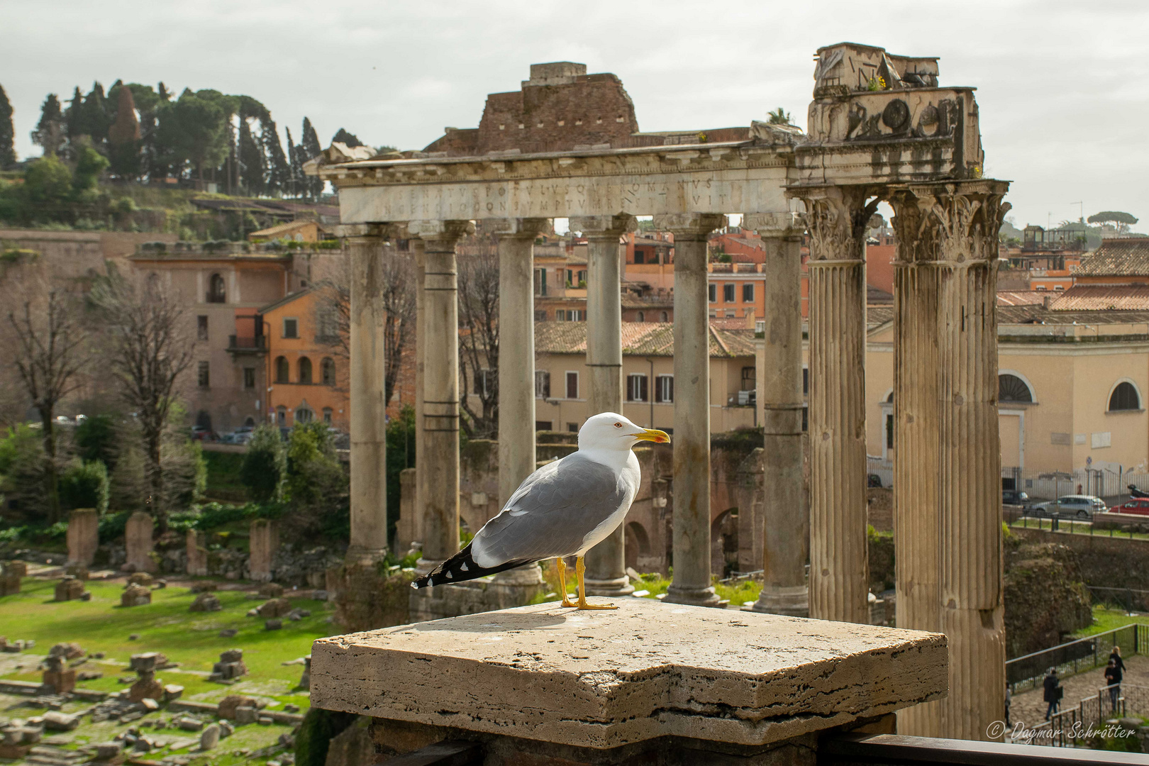 Forum Romanum